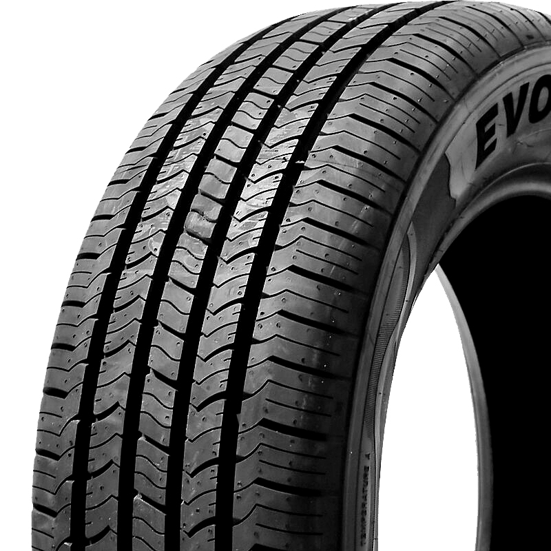 1 X New Evoluxx Capricorn HP 205/60R16 Tires | eBay